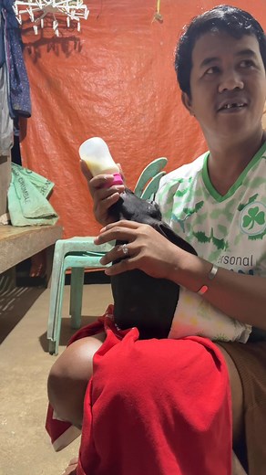 #fallowerseveryonehighlights #fbviralpost2025シkambingnawalangmgapaa #animalrescue@highlight | Rodley Rioveros Macuha