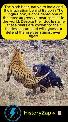 The Bear That Inspired Baloo Was Actually AGGRESSIVE