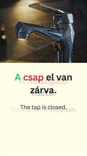 The Most basic Hungarian phrases for Beginners! 🇭🇺 #shorts #language #hungarian #hungary #magyar