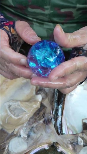 😱🎁Giant clams, super large and captivating pearls