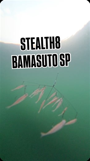 瀬口 壮介 | 水中のステルスエイトはこんな感じ。僕自身なぜか食わず嫌いしてたバマスト、ライブスコープの映像の話にはなってしまうのですがイカつめの反応するのは間違いナシ。 オカッパリのあの破壊力も納得すね。... | Instagram
