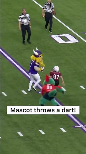 🏈 NFL mascot game has some amazing highlights