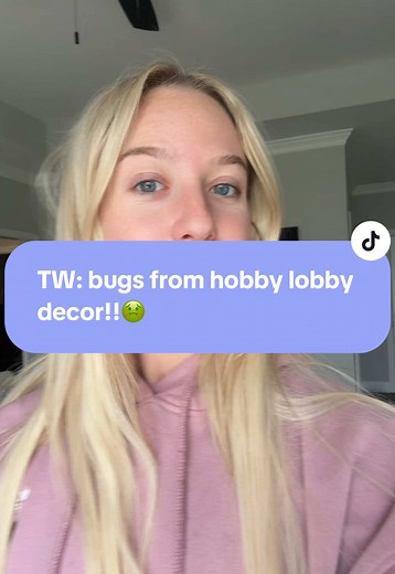 Identify Powderpost Beetles in Home Decor Items