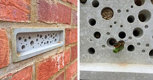 These Innovative Bee Bricks Install On Your Home, Provide a Safe Environment For Bees To Nest