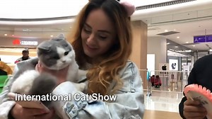 Get a glimpse into the mysterious "Middle Kingdom". Like our page to see more livestreams and stories from China, the U.S and the world. | China Plus America