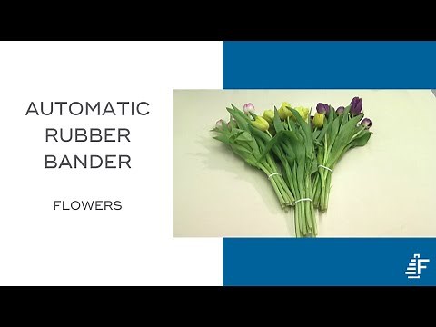 Flower Bouquet Banding ARB Automatic Rubber Banding Machine