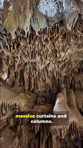 Drip by Drip: Nature’s Slow-Motion!!! #tiktok