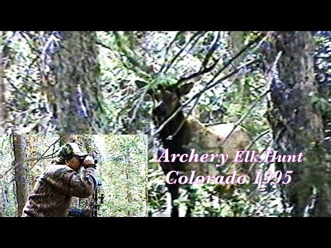 Archery Elk Hunt Colorado 1995