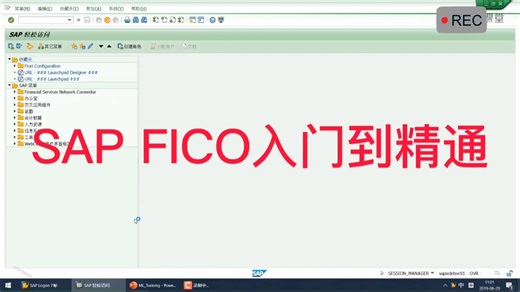 SAP FICO模块从入门到精通#sap系统 #sap #sap顾问 #sap课程 #sap视频