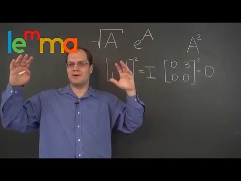 Linear Algebra 16m: Eigenvalues, Eigenvectors and the Square Root of a Matrix