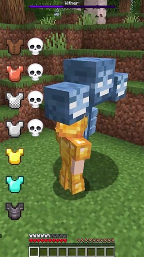 All Armor vs Wither - Which Armor Will Survive? #Shorts