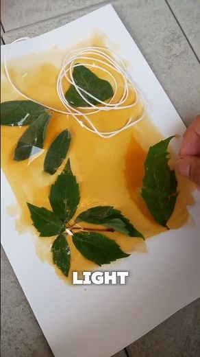 How to make images using only sunlight.