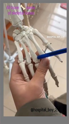 All types of bone 🦴 name present in human body #none #skeletalsystem #human #body #medical #trending