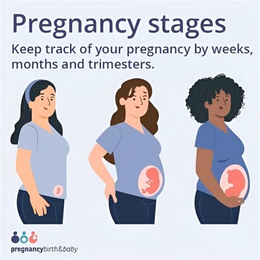 How Accurate Are Pregnancy Due Dates? #viral #trending #medical #pregnant #pregnancydates#nursing 💉