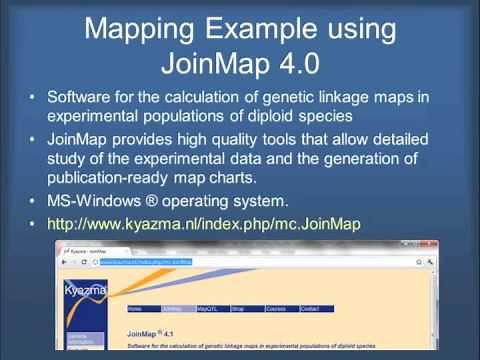 SNP-Based Genetic Maps: Linkage and QTL Analysis Full