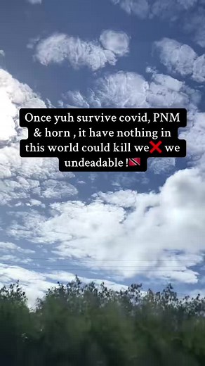 Trini Doll Dance Videos Compilation