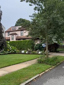 150K views · 8.8K reactions | Queens  #newyorkcity | New York Today | Facebook