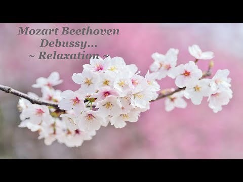 Best Classical Music Playlist Mix Mozart Beethoven Bach Chopin Piano