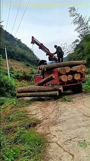 Lifting Logs: How Machinery Simplifies Timber Transport