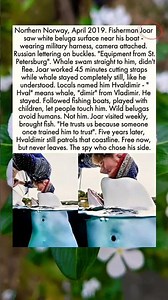 Northern Norway April 20219, fishermen