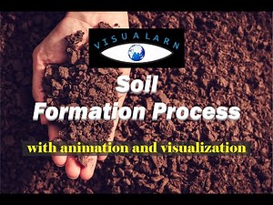 Soil forming process in detail - with animation and visualization.