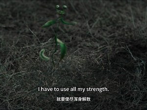 20K views · 185 reactions | Cinderella blamed herself for not protecting the green sprout. Drama： The Unclouded Soul Welcome to my channel! #逍遥 #TheUncloudedSoul | Cici撩剧 | Facebook