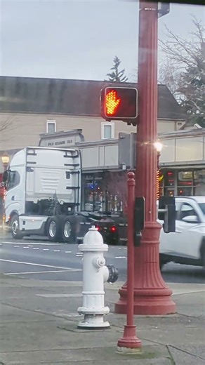 white sprinter semi spotted