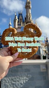 2024 is JUST around the corner! What are you waiting for? ✨ #disneyparks #disney2024 | MickeyTravels, LLC