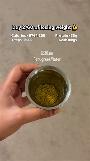 tikka2taco | Food and Lifestyle Content Creator | USA | ✨ Day 2/60 of losing Weight 💪 Morning 🌿 • Fenugreek water Breakfast – 285 kcal • Apple almond protein shake Protein: 26–28 g Snack – 120... | Instagram