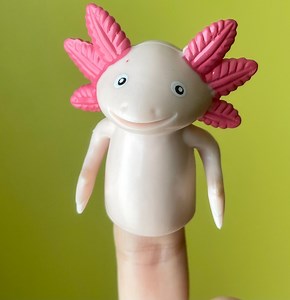 Axolotls are being abandoned in pet shelters