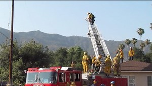 UPDATED: Man Killed In Tree Trimming Accident