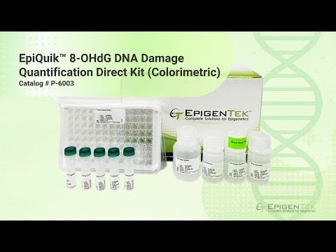 8-OHdG DNA Damage Quantification Direct Kit (Colorimetric) | EpiQuik™ User Guide