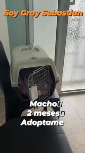 22 reactions · 5 comments | Caso externo Este principe  BUSCA HOGAR...