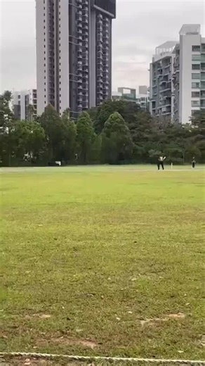 Scoring 100: Celebrating Cricket's Finest Moments