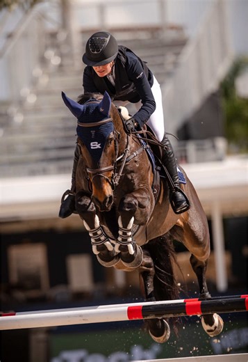 Discover the Comfort of Horses: EquiFit Open Front Boots