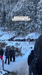 🐒 Simple Plan to Avoid Long Queues at (Snow Monkey Park) ✅ Before the day •Buy the Snow Monkey Pass online 👉 Choose Train Local Bus pass (not express bus) •Save the voucher on your phone 🕖 On the day (early = best) 7:30–8:00 AM •Go to Nagano Station •Exchange your online voucher at Nagano Dentetsu counter •You’ll skip ticket machine lines 8:00–8:30 AM •Take Nagano Dentetsu train → Yudanaka Station 8:30–9:00 AM •Take the local bus to Snow Monkey Park •Walk 30–35 minutes to the entrance 🎟️ At