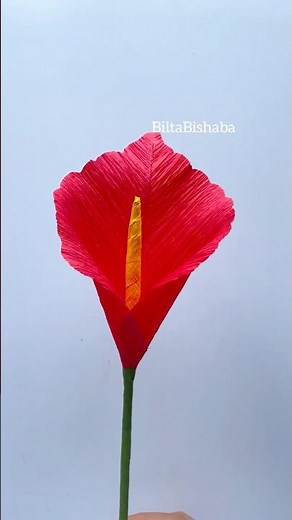 DIY Crepe paper Calla Lily Super easy to make ❤️❤️‍🩹