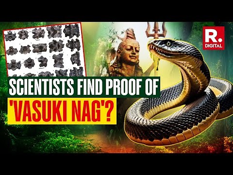 Vasuki Indicus: World's Biggest Snake Roamed India Millions Years Ago, IIT Researches Find Proof