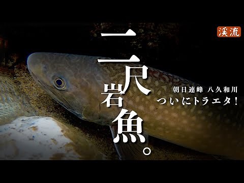 【渓流釣り】ついにとらえた！”２尺”イワナ／八久和川、国内最大級の源流へ～5日間の全記録。