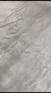 Rs. 6800.00 Soft Rich Organza Silk Fabric With Designer Threads Work With Designer Cutwork Border Along With Hand Diamond Work Along With Contrast Full Work & Stone Blouse | Hi Fab exim