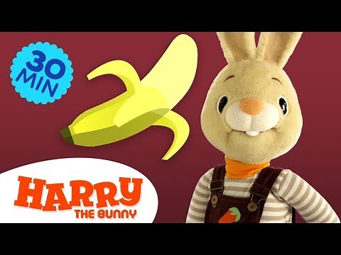 Baby Learning First Words with Harry the Bunny | Educational Family Fun Videos for Toddlers & Babies