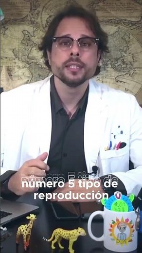 ¿Qué características tienen los vertebrados?