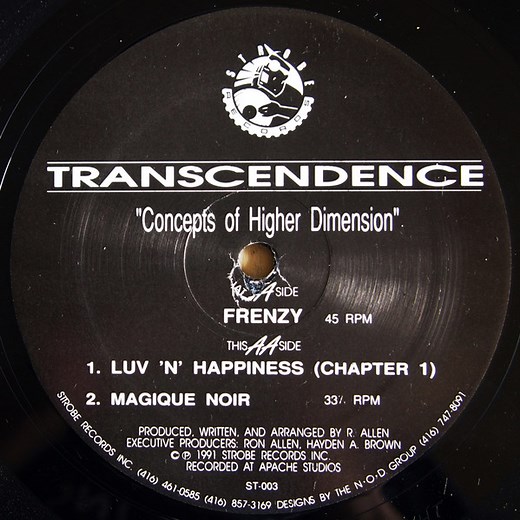 Transcendence - Concepts Of Higher Dimension