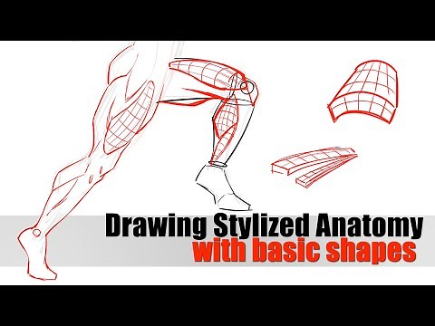 Drawing Stylized Anatomy with Basic Shapes