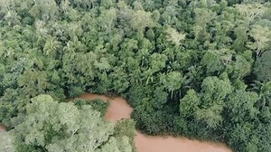 Drone Aerial View Peru Amazon Rainforest Stock Footage Video (100% Royalty-free) 3447214449 | Shutterstock