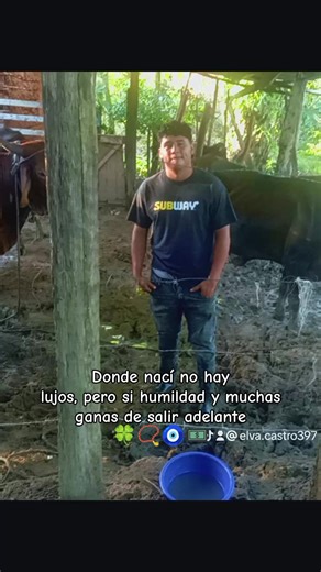 Videos de Elva castro (@elva.castro397) con “sonido original - Elva castro”