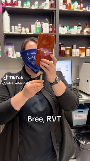 Who can draw up 1 mL… blindfolded! 💉 We think our team did pretty well! 😌 #vetmed #vet #rvtiktok #challenge #funatwork #fyp #