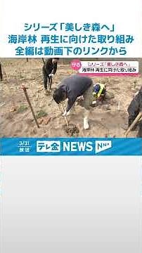 【シリーズ・美しき森へ】～ 暮らしを守る海岸林の再生 ～ “予防接種”で止める松くい虫被害 #shorts