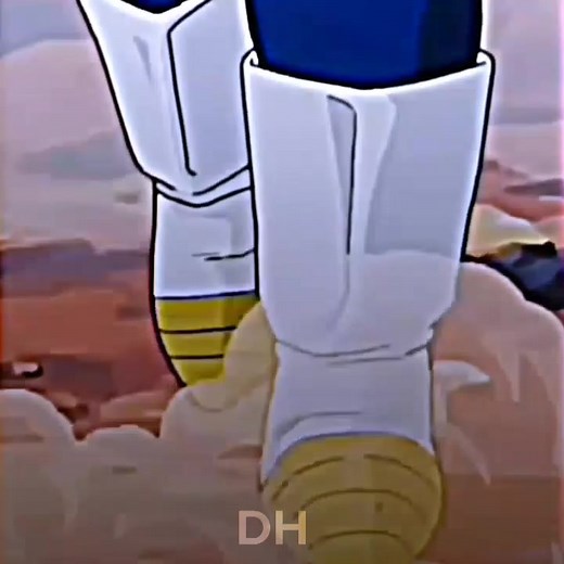 Vegeta vs Pui Pui Dragon Ball Edit