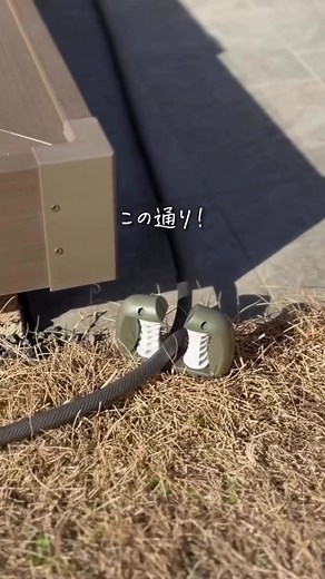 【コレでホースの引っかかりゼロ‼️大バズり中のホースガイド🌿】 「ホース引っかかる＆絡む…」を解決✨ スルスル動いて作業が超快適💖 ✅使ってみた感想 角に置くだけでスムーズに誘導😳 ローラー回転で引っ張り軽い👏 芝や花壇も傷つけにくい✨ ✅ここが推し👇 ・差し込むだけ簡単設置💖 ・耐久性◎で屋外OK ・2個セットで広範囲カバー ✅おすすめ👇 ・庭の水やり🚿 ・芝生・花壇ケア🌼 ・ホース長めの人に◎ シンプルで目立ちにくい✨ “引っかかりゼロ”の快適ガーデン🌿 毎日の作業がラクに👏 ぜひ試してみてね❣️ アイテムの詳細はプロフリンクの楽天ROOMで【ホースガイド】って検索してね🔍 #ガーデニング #便利グッズ #暮らし
